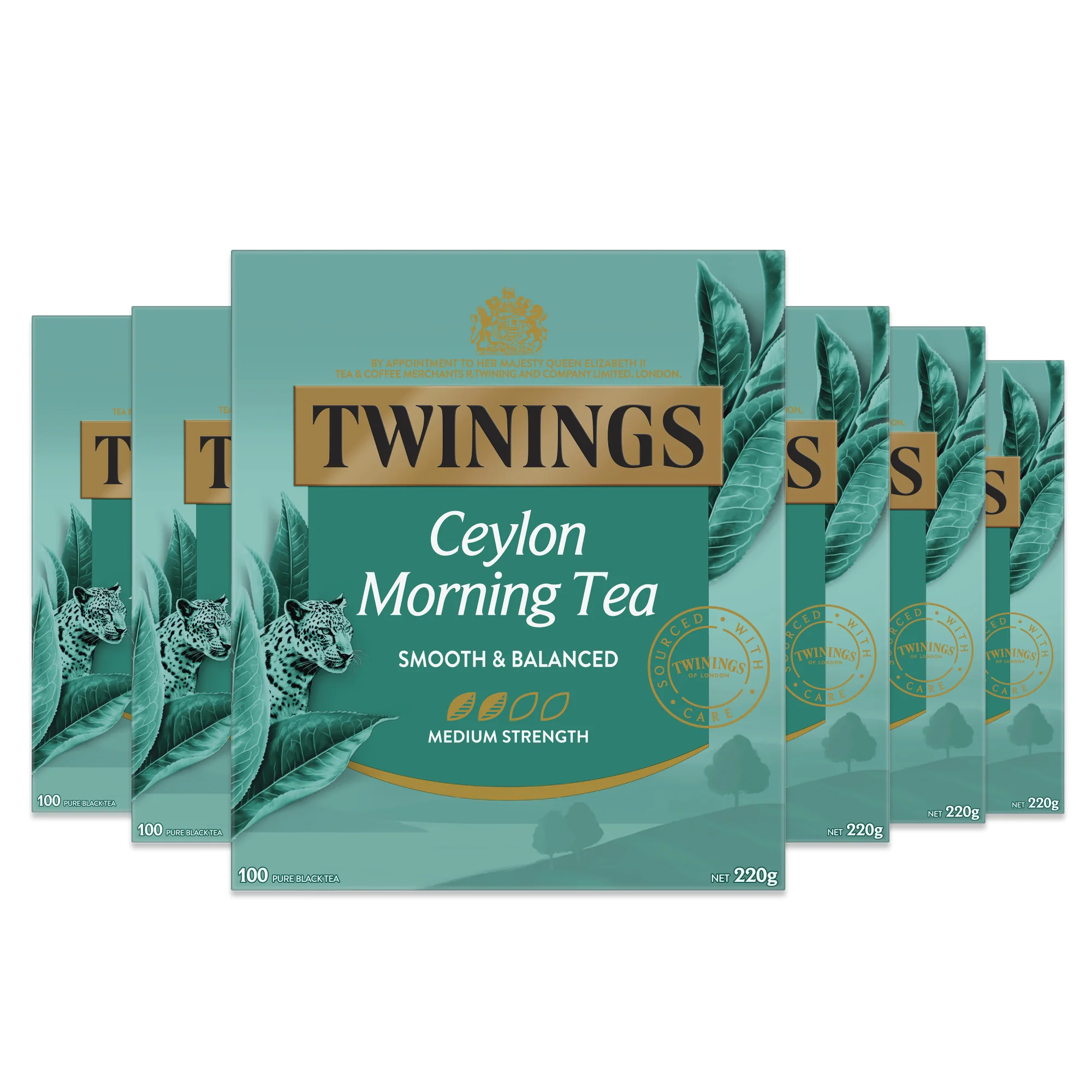 Ceylon Morning Tea 6 Pack Bundle