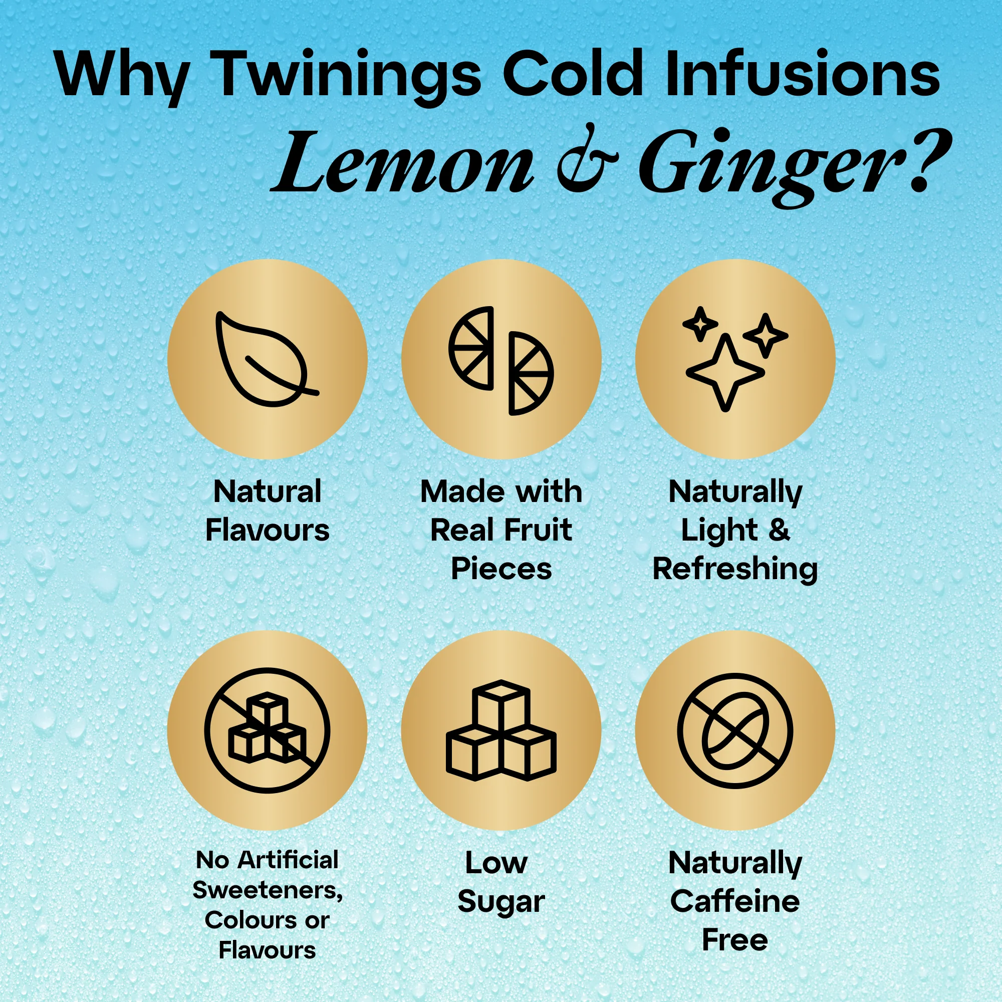 Cold Infusions Lemon Ginger - Image 8