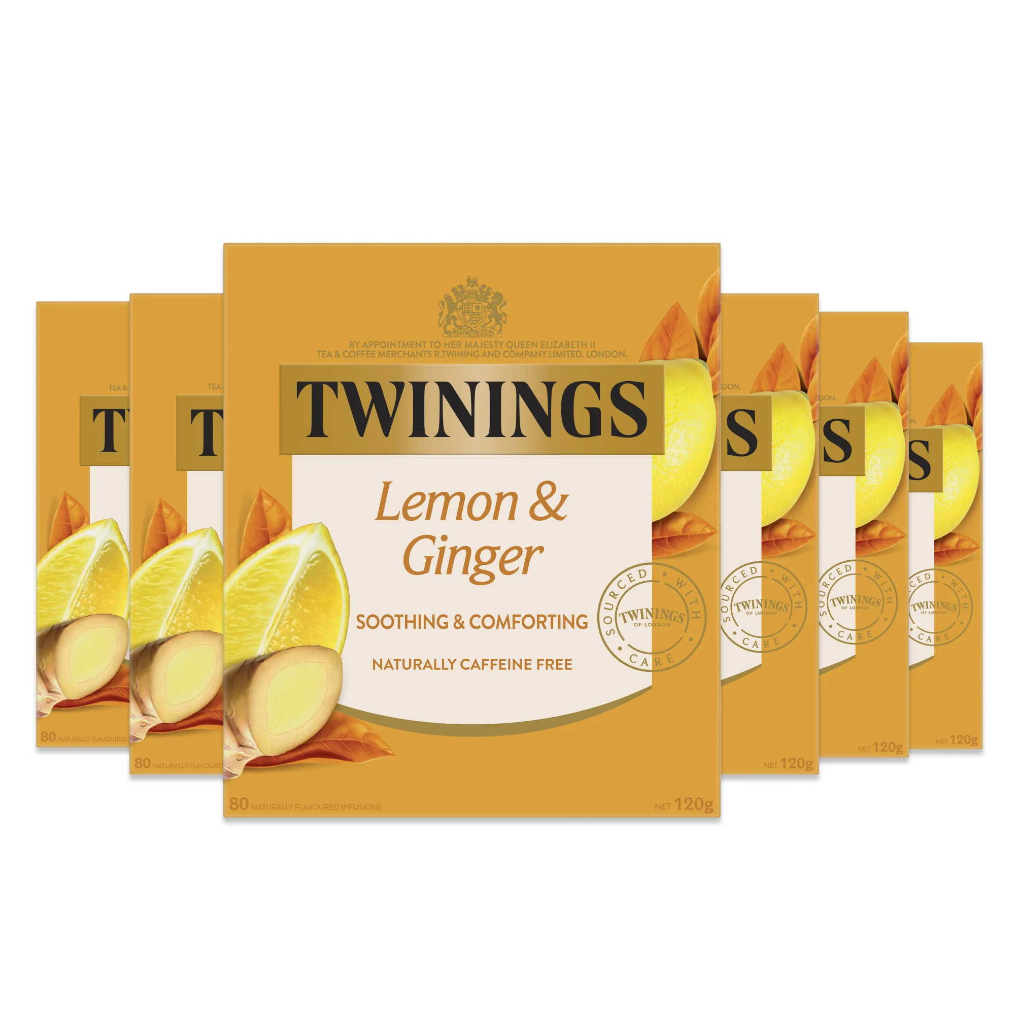 Lemon & Ginger 6 Pack Bundle
