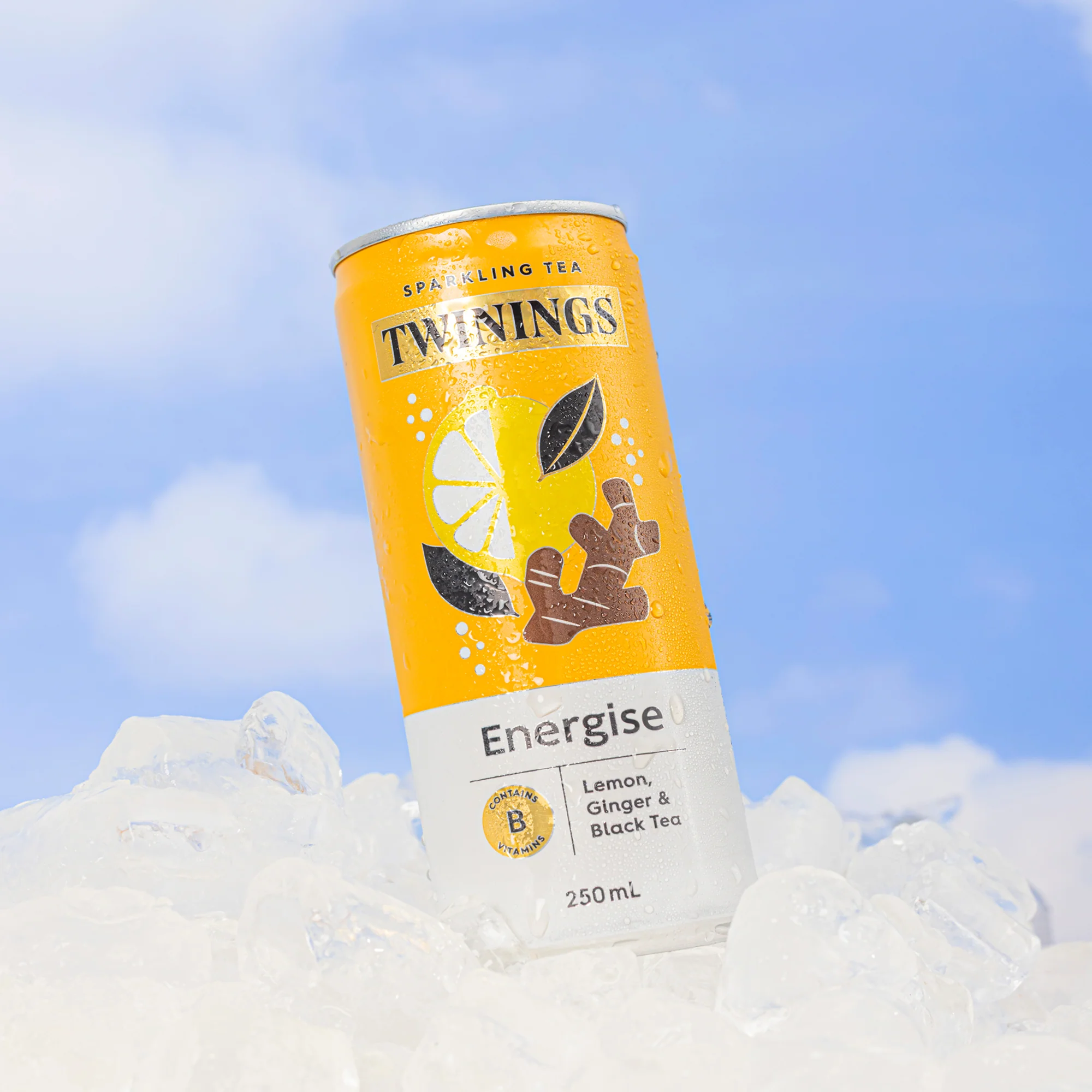 Sparkling Tea Energise Lemon, Ginger and Black Tea individual can - Image 2