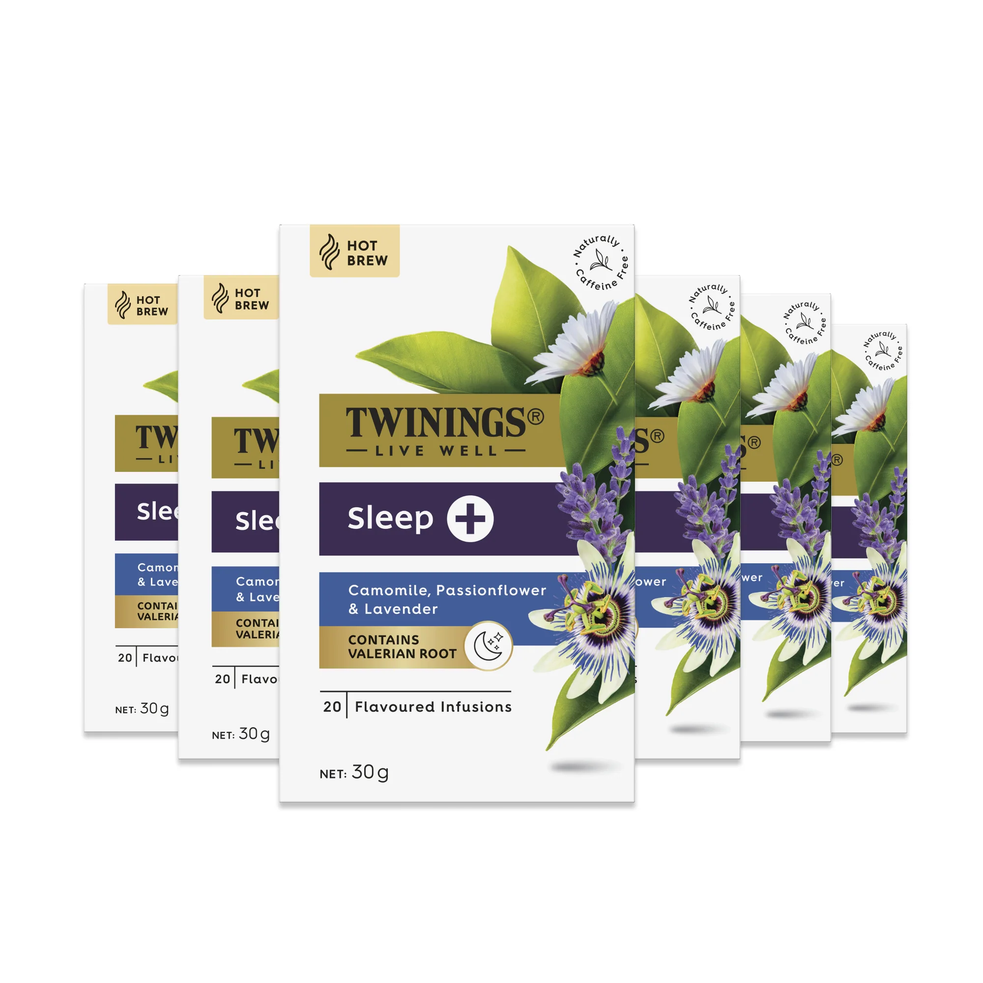 Sleep + 6 Pack Bundle